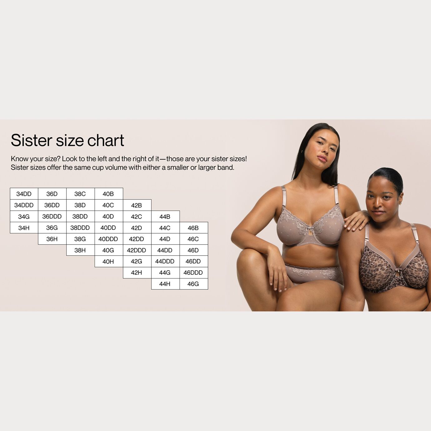 Sheer Mesh Full Coverage Unlined Underwire Bra, BLACK HUE, alternate image number 4