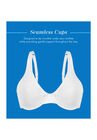 Bestform 5000100 Everyday Unlined Cotton Stretch T-Shirt Bra With Underwire Support, , alternate image number null