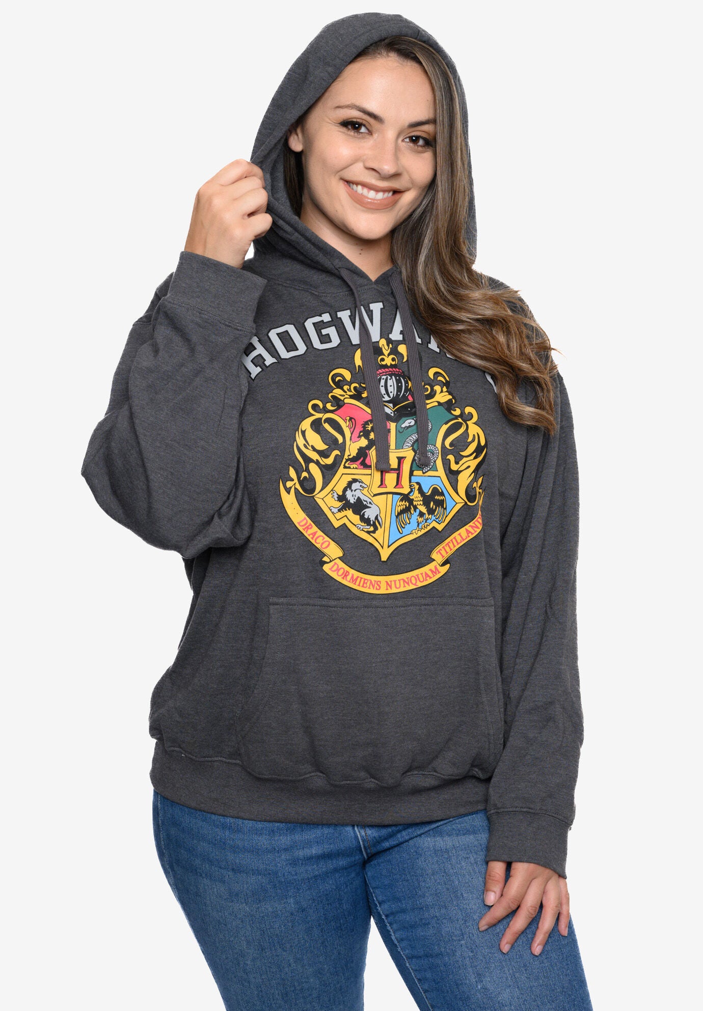 thumbnail image 2 of Harry Potter Mens Quidditch At Hogwarts Sweatshirt | CDON 2 of 13
