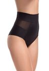 Sheer Allure Mid Waist Brief, , on-hover image number null