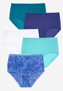 5-Pack Classic Silky Nylon Brief