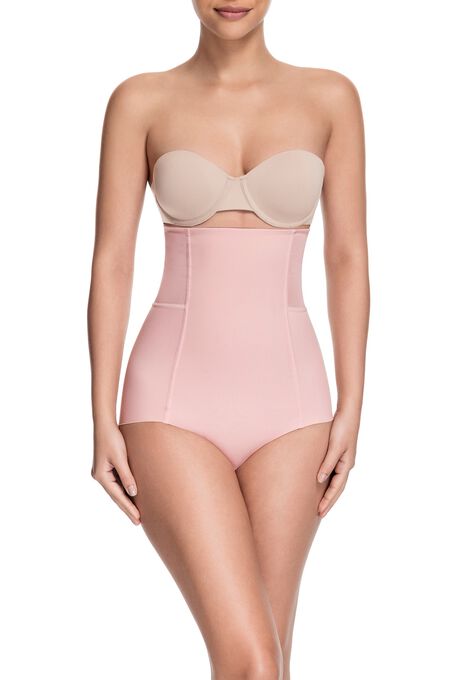 Sheer Allure High Waist Brief, SUMMER BLUSH, hi-res image number null