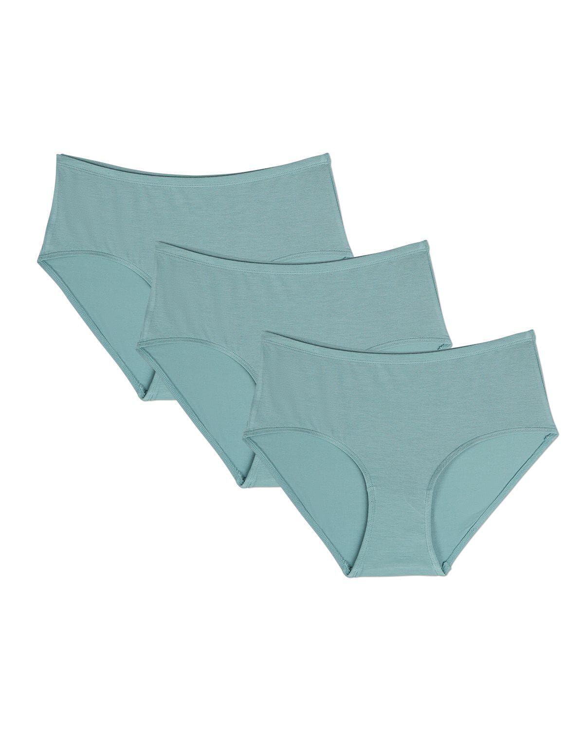 3 Pair Women's Luxe Modal Blend Brief Panties, ARCTIC, alternate image number 1