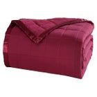 Down-Alternative Blanket image number null