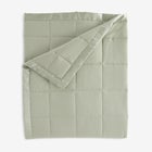 Down-Alternative Blanket image number null