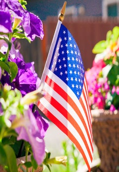 Set of 12 American Flag Sticks