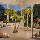 6'H Pre-lit Single Palm Tree image number null