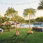 6'H Pre-lit Single Palm Tree image number null