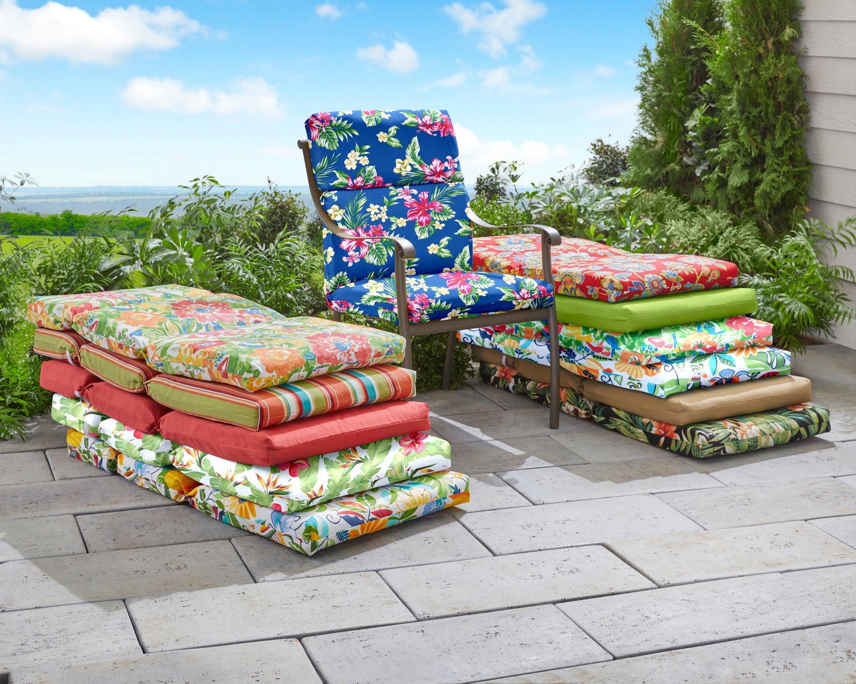 null image number null