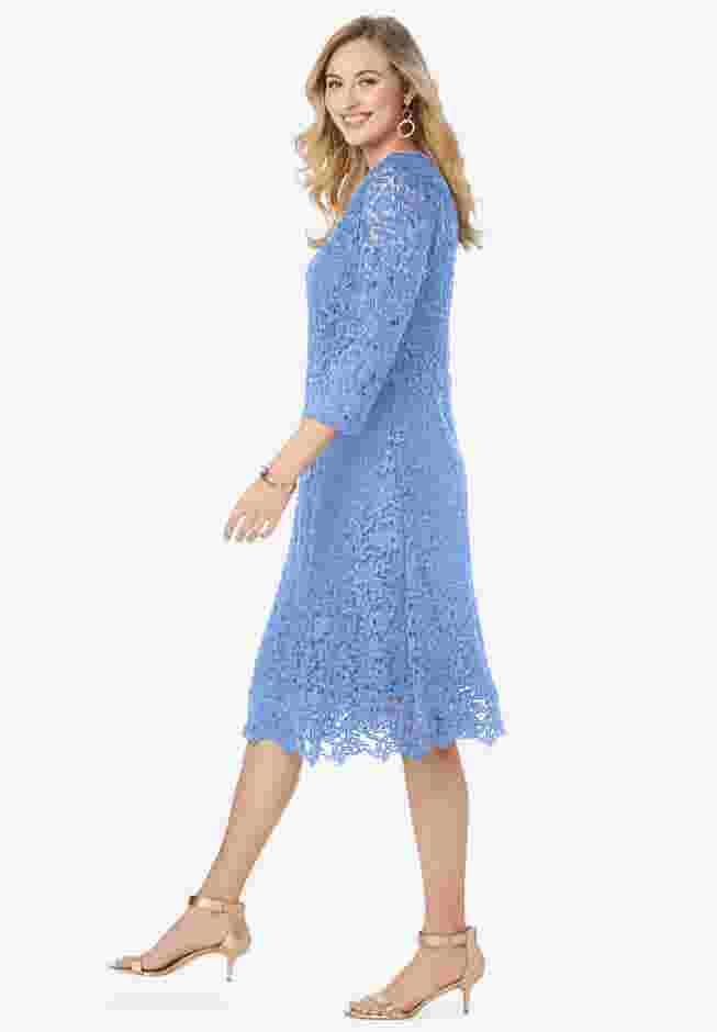 Lace Fit & Flare Dress image number 2