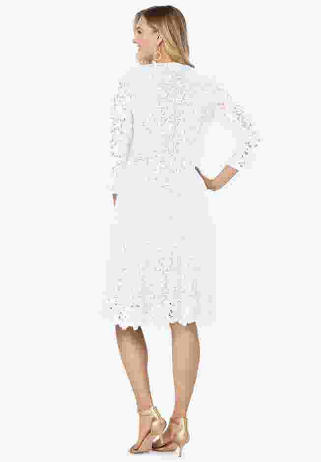 Lace Fit & Flare Dress image number 1
