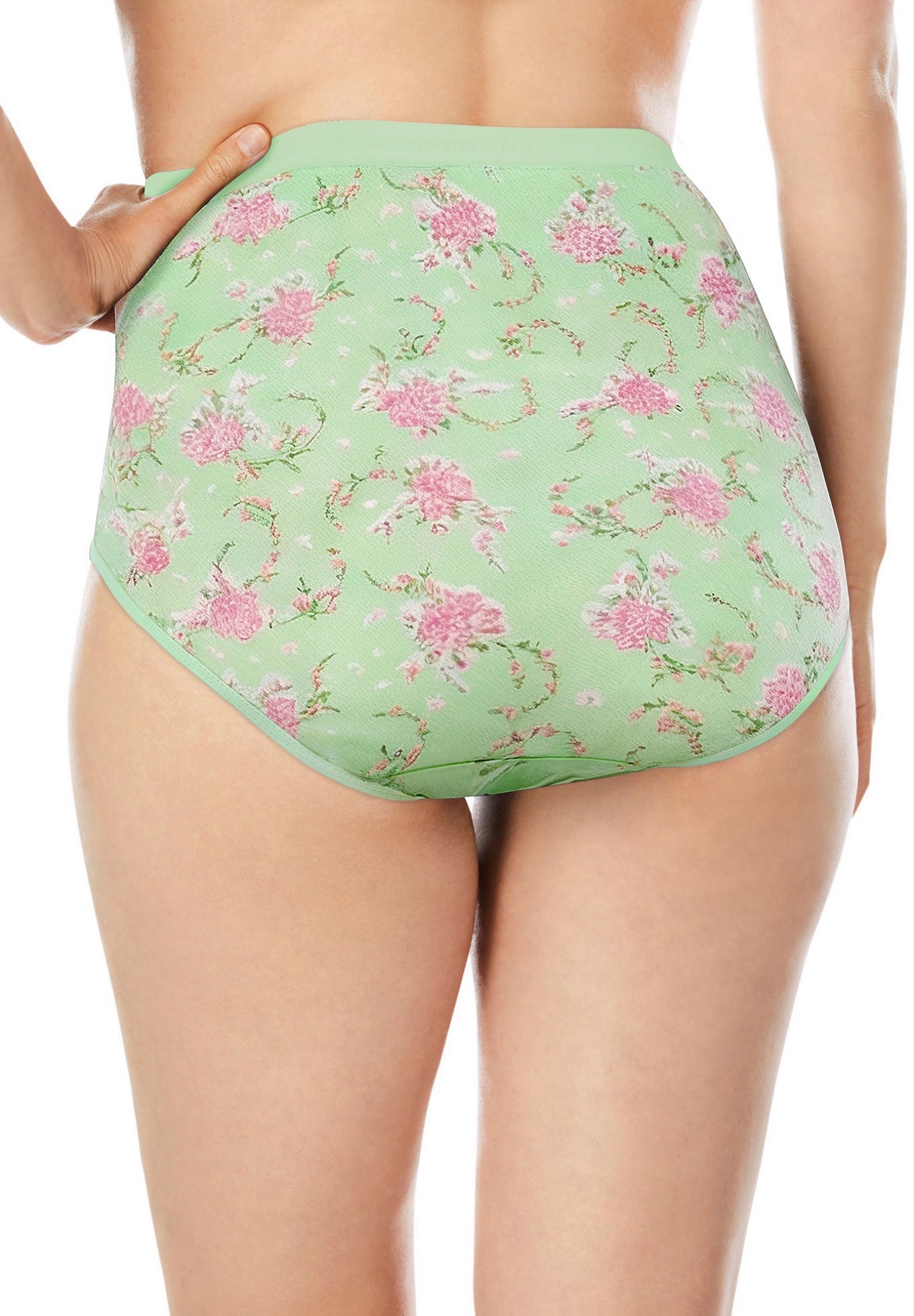 Full Coverage Cotton Brief 10-Pack image number 3