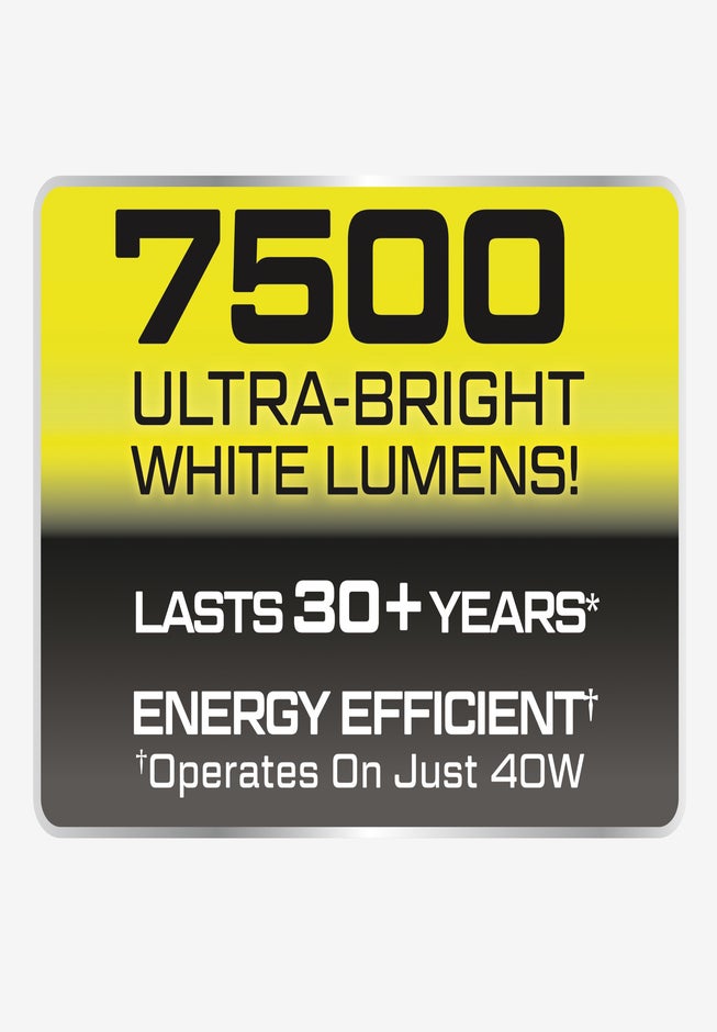 Beyond Bright Tower image number 9