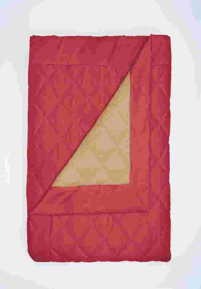 BH Studio Pet Loveseat Cover image number 1