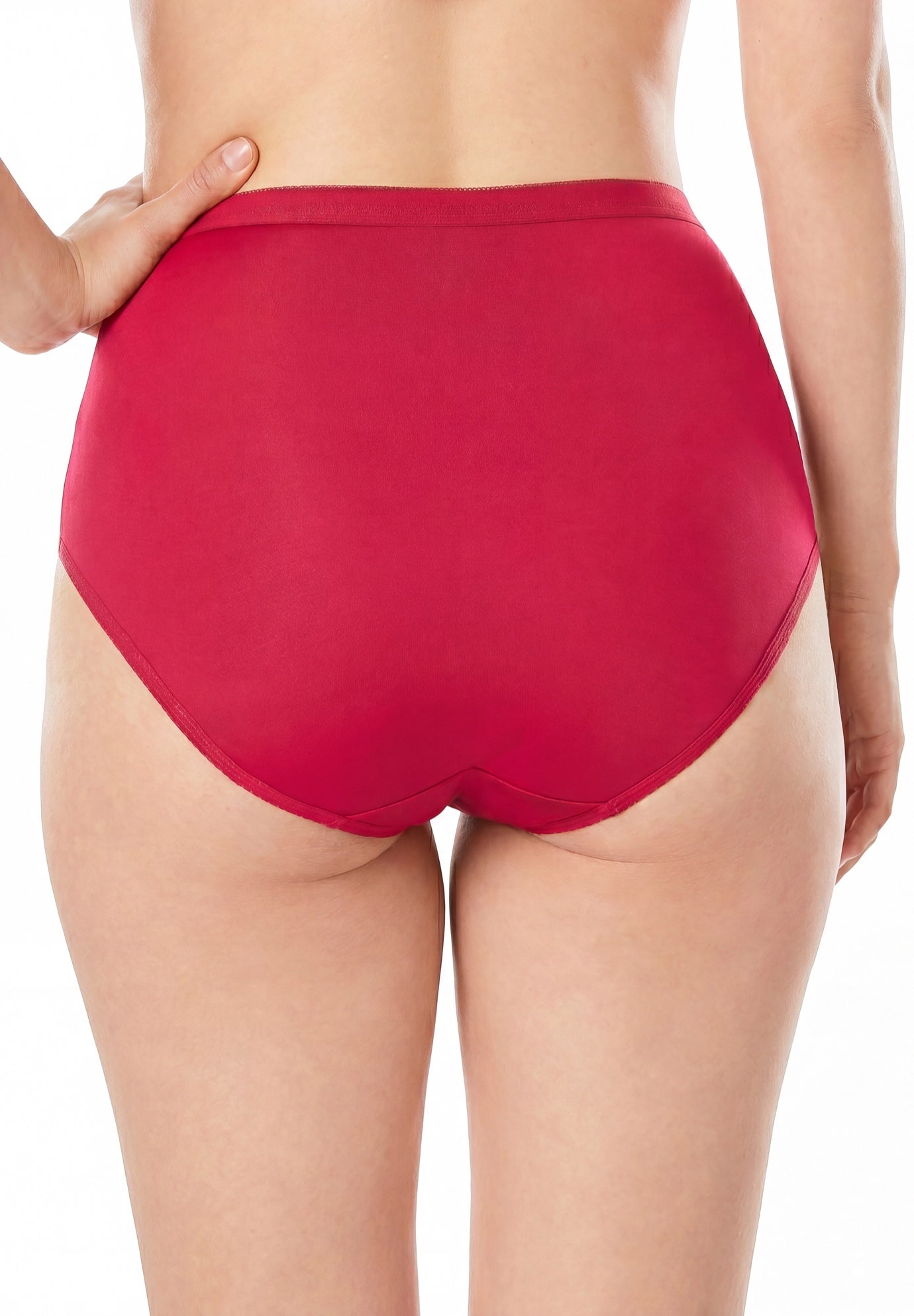 5-Pack Classic Silky Nylon Brief image number 1