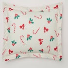 BH Studio Reversible Pillow Sham image number 0
