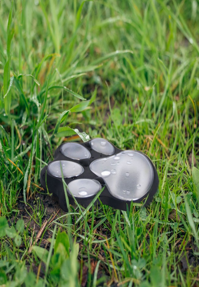 Paw Print Pathway Lights, Set of 4 image number 3