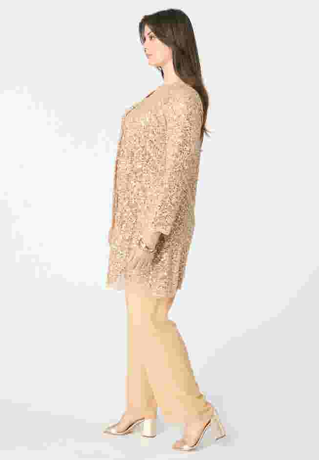 Sequined Lace Jacket Pant Set image number 2
