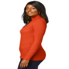 Ribbed Cotton Turtleneck Sweater image number null