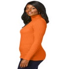 Ribbed Cotton Turtleneck Sweater image number null