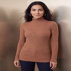 Ribbed Cotton Turtleneck Sweater image number 0