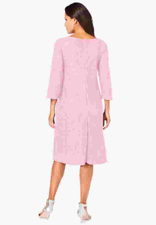 Lace Swing Dress image number 1