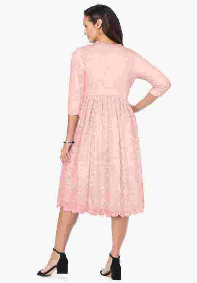 Stretch Lace A-Line Dress image number 1