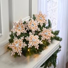 Tree Clips, Set of 6 image number null