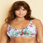 Cotton Wireless Lightly Padded T-Shirt Bra image number null