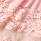 Lace Illusion Blouse image number null