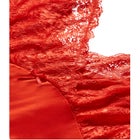 Sexy Lace Chemise image number null