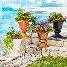 Traditional Embry Plastic Urn Planter image number null