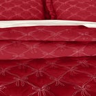 Ribbon Hem Bow Quilt 3-PC Set image number null