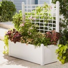 Flower Box With Trellis image number null