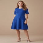 Stretch Ponte Flare Dress image number null