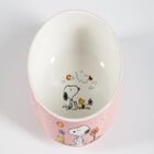 Snoopy’s Garden Patch 6-Piece Stackable Bowl Set image number null