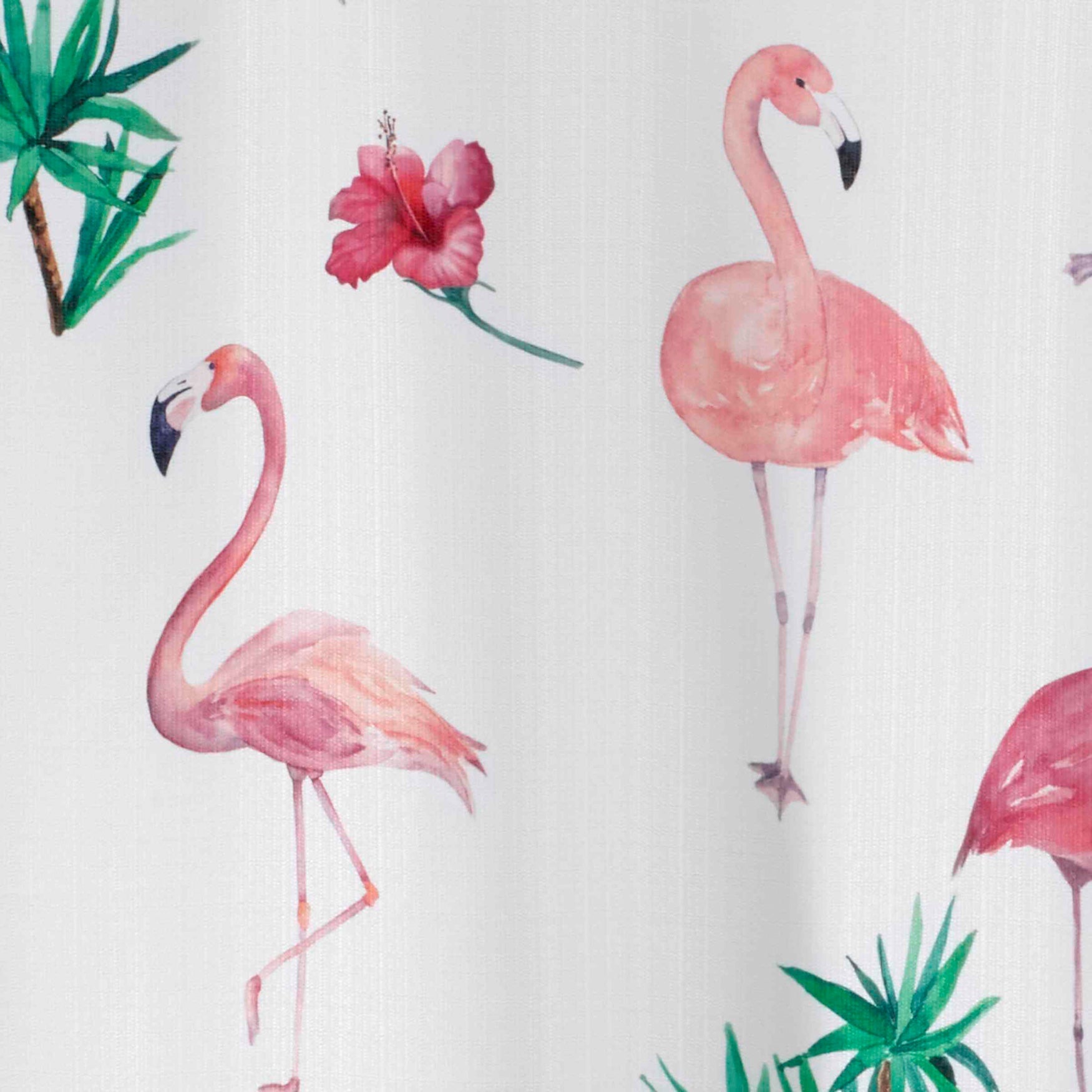 Novelty Shower Curtain image number 2