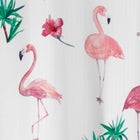 Novelty Shower Curtain image number 2