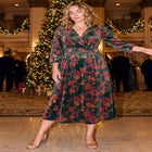 Adia Velvet Maxi Dress image number 1