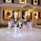 Pre-lit Prismatic Reindeer Family, Set of 3 image number 0