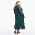 Long Sleeve Ruffled Mesh Maxi Dress image number 2