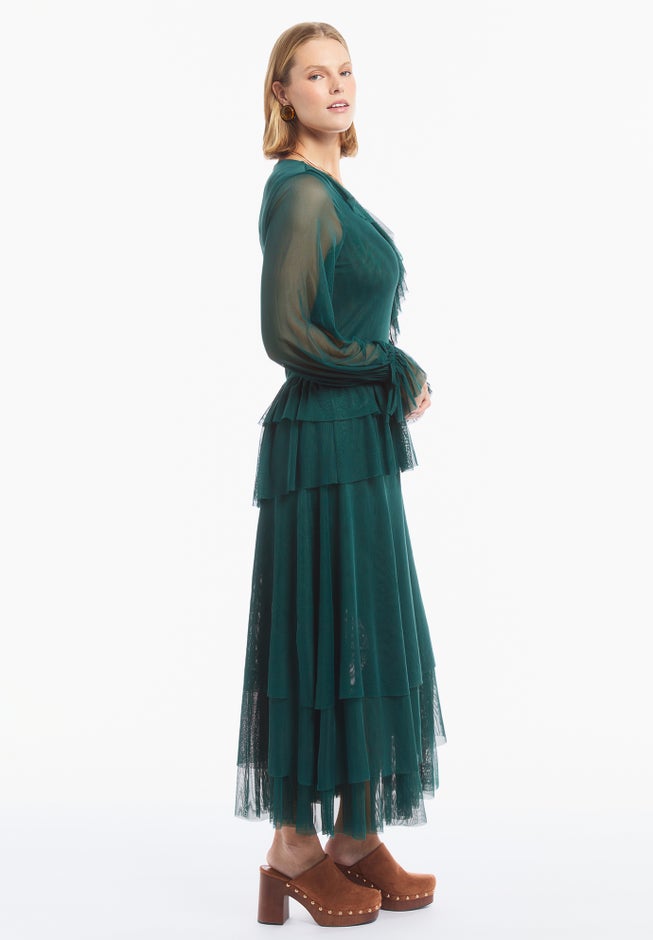 Long Sleeve Ruffled Mesh Maxi Dress image number 3
