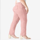 Plus Size Classic Stretch Straight Leg Jean image number null
