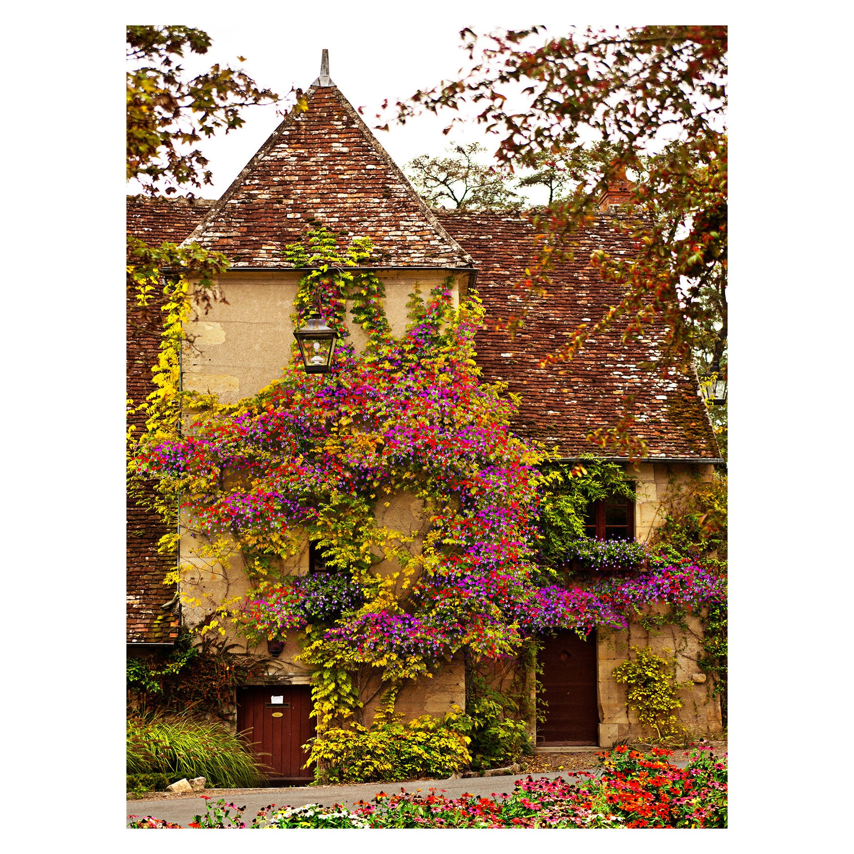 Stylish All Weather All Season Outdoor Canvas Art, Multi Roaman's