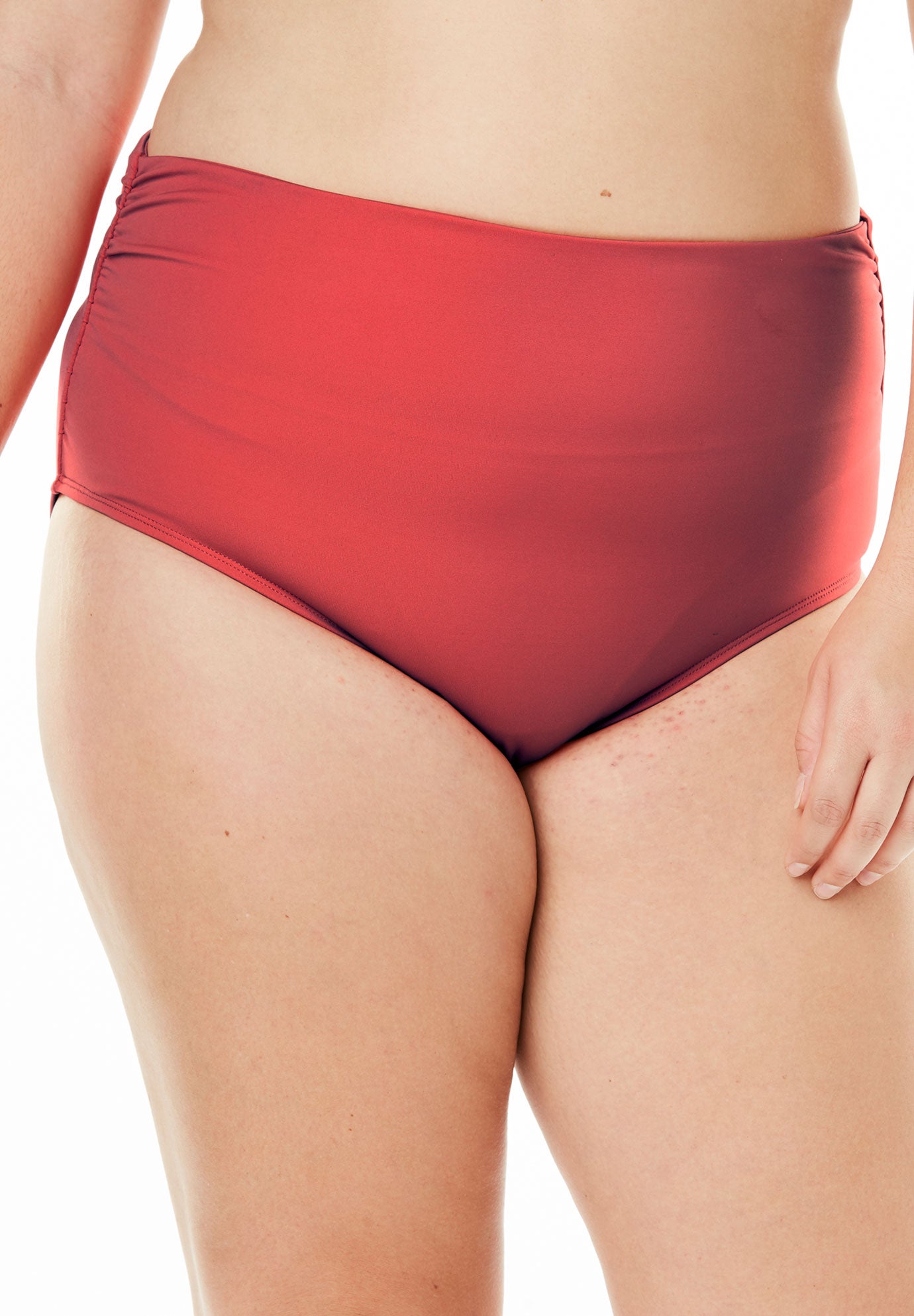 plus size swim briefs