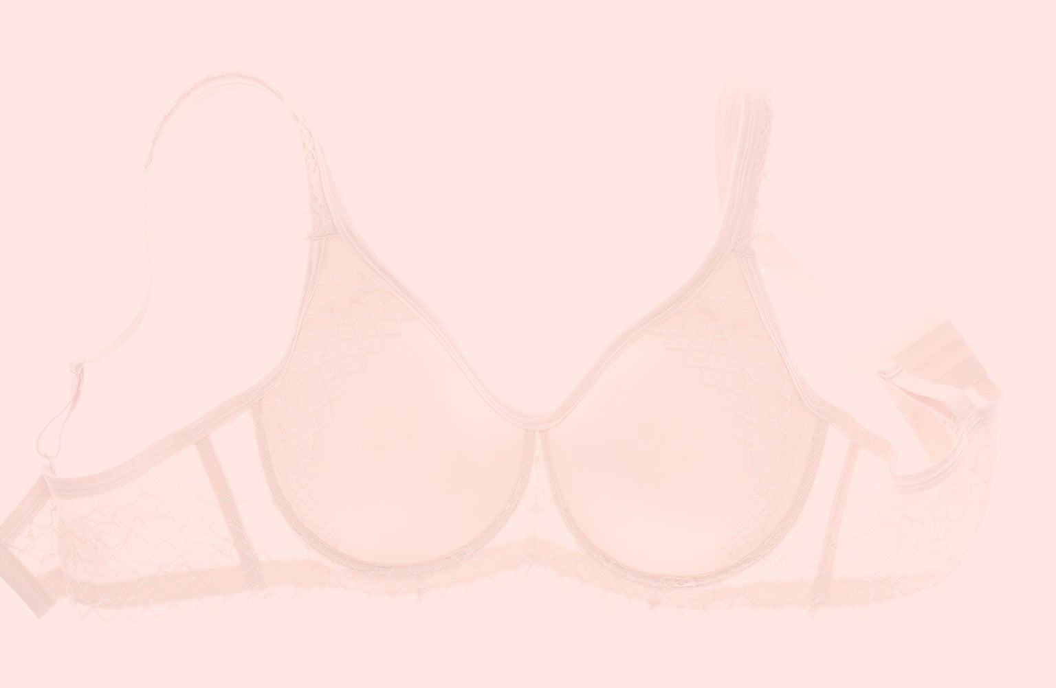 Plus Size Bra Size Guide: Bands 36-58 & Cups B-N