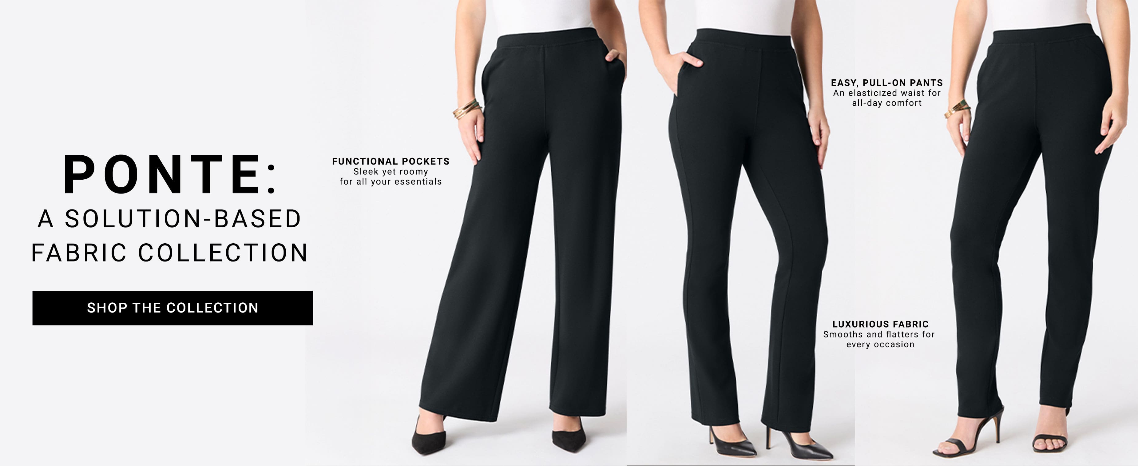 shop PONTE