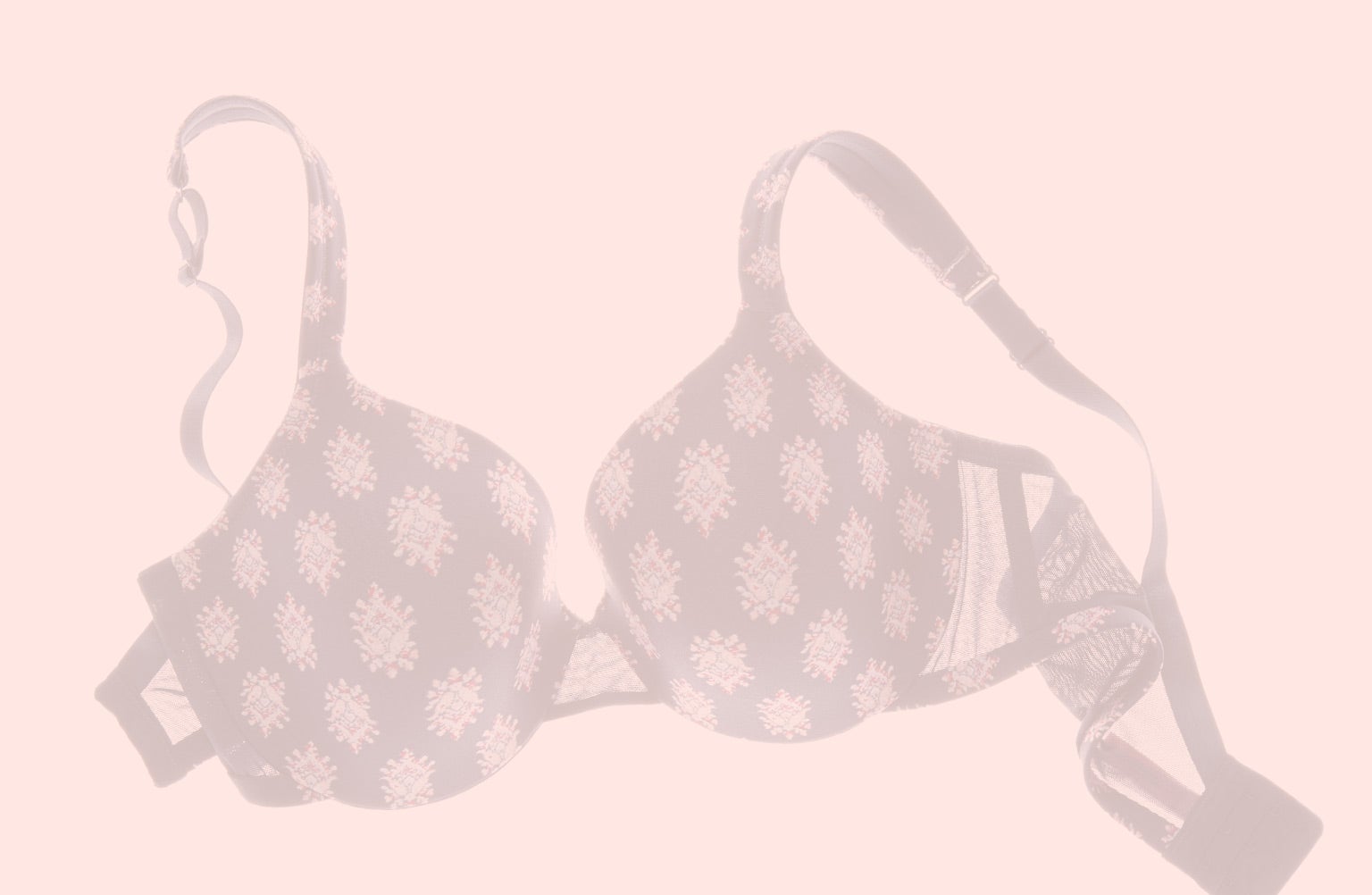 Plus Size Bra Size Guide: Bands 36-58 & Cups B-N